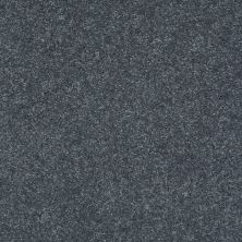 Shaw Floors Value Collections Well Played II 15′ Net Pacific 00401_E0848