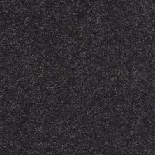 Shaw Floors Value Collections Well Played II 15′ Net Denim Days 00402_E0848