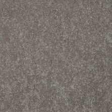 Shaw Floors Value Collections Well Played II 15′ Net Mocha Frost 00702_E0848