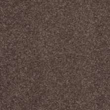 Shaw Floors Value Collections Well Played II 15′ Net Briar Patch 00703_E0848