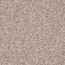 Shaw Floors Value Collections Color Flair Net Cornmeal 00103_E0853