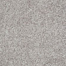 Shaw Floors Value Collections Color Flair Net Oyster 00104_E0853