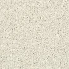Shaw Floors Value Collections Color Flair Net Bufftone 00113_E0853