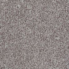 Shaw Floors Value Collections Color Flair Net Tempting Taupe 00701_E0853