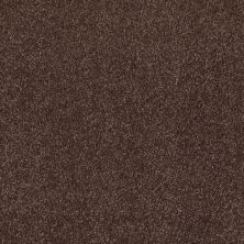 Shaw Floors Laguna Beach Maple