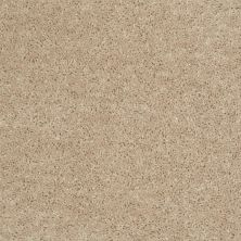 Shaw Floors Value Collections Mayville 12′ Net Adobe 00103_E0921