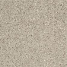 Shaw Floors Value Collections Mayville 12′ Net Misty Taupe 00105_E0921