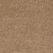 Shaw Floors Value Collections Mayville 12′ Net Cider 00202_E0921