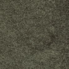 Shaw Floors Value Collections Mayville 12′ Net Hedges 00301_E0921