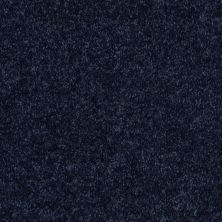 Shaw Floors Value Collections Mayville 12′ Net Evening Sky 00403_E0921