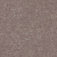 Shaw Floors Value Collections Mayville 12′ Net Hearth Stone 00700_E0921