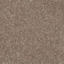 Shaw Floors Value Collections Mayville 12′ Net River Slate 00720_E0921