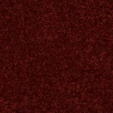 Shaw Floors Value Collections Mayville 12′ Net Red Rock 00821_E0921