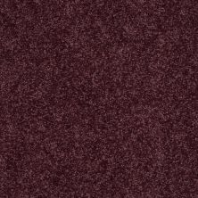 Shaw Floors Value Collections Mayville 12′ Net Royal Purple 00902_E0921