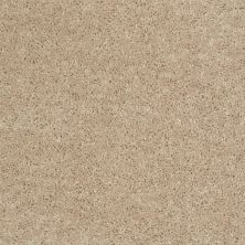 Shaw Floors Value Collections Mayville 15′ Net Adobe 00103_E0922
