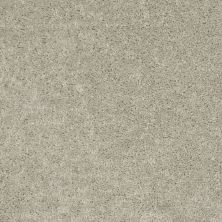 Shaw Floors Value Collections Mayville 15′ Net Misty Taupe 00105_E0922