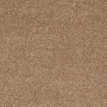 Shaw Floors Value Collections Mayville 15′ Net Cider 00202_E0922