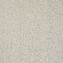Shaw Floors Value Collections Something Sweet Net Plaster 00103_E0924