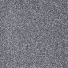 Shaw Floors Value Collections Something Sweet Net Mindful Gray 00501_E0924