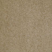 Shaw Floors Value Collections Something Sweet Net Starcrest 00710_E0924