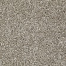 Shaw Floors Value Collections Something Sweet Net Hickory 00711_E0924