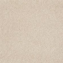 Shaw Floors Value Collections That’s Right Net Sandy Shore 00101_E0925