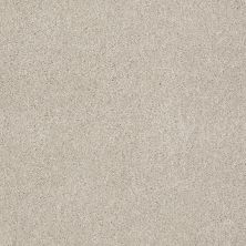 Shaw Floors Value Collections That’s Right Net Linen 00104_E0925