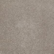 Shaw Floors Value Collections That’s Right Net Mocha Cream 00105_E0925