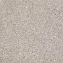 Shaw Floors Value Collections That’s Right Net Greige 00106_E0925