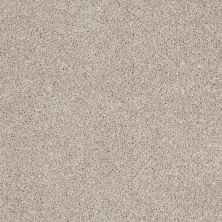 Shaw Floors Value Collections That’s Right Net Doeskin 00112_E0925