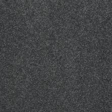 Shaw Floors Value Collections That’s Right Net Seacliff Heights 00300_E0925