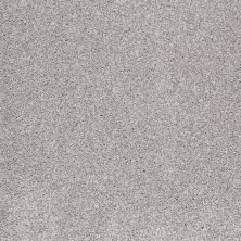 Shaw Floors Value Collections That’s Right Net Frosted Ice 00510_E0925