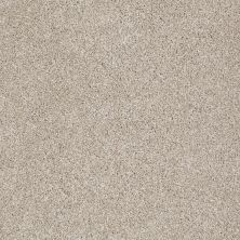 Shaw Floors Value Collections That’s Right Net Cork Board 00711_E0925