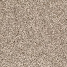 Shaw Floors Value Collections That's Right Net Mole Hill