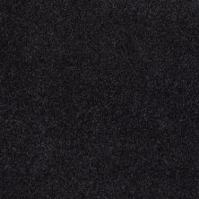 Shaw Floors Value Collections What's Up Net Hidden Falls