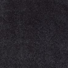 Shaw Floors Value Collections What’s Up Net Stunning Navy 00401_E0926