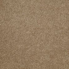 Shaw Floors Value Collections What’s Up Net Bridgewater Tan 00709_E0926