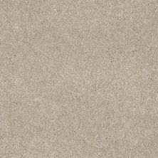 Shaw Floors Value Collections You Know It Net French Canvas 00102_E0927