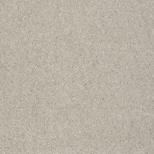 Shaw Floors Value Collections You Know It Net Soft Chamois 00103_E0927