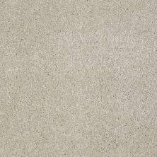 Shaw Floors Value Collections You Know It Net Linen 00104_E0927