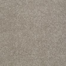 Shaw Floors Value Collections You Know It Net Mocha Cream 00105_E0927