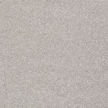 Shaw Floors Value Collections You Know It Net Antique Silk 00115_E0927