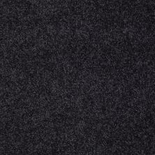 Shaw Floors Value Collections You Know It Net Stunning Navy