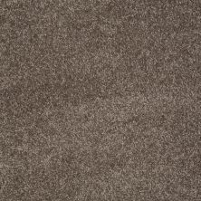 Shaw Floors Value Collections You Know It Net Rustic Taupe