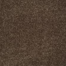 Shaw Floors Value Collections You Know It Net Sedona