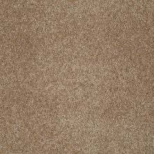 Shaw Floors Value Collections You Know It Net Bridgewater Tan 00709_E0927