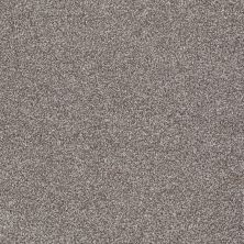 Shaw Floors Value Collections You Know It Net Moccasin 00714_E0927