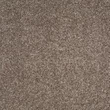 Shaw Floors Value Collections You Know It Net Saddle 00718_E0927