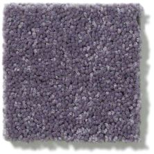 Shaw Floors Dyersburg Classic 12′ Violet Crush 00930_E0947