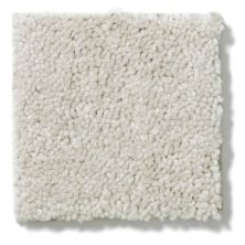 Shaw Floors Dyersburg Classic 12′ Taupe 55105_E0947